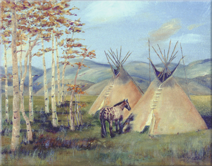 Nez Perce Appaloosa, Idaho