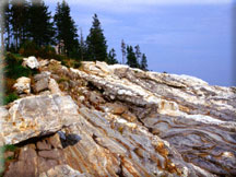 Photo: Rocks & Pines